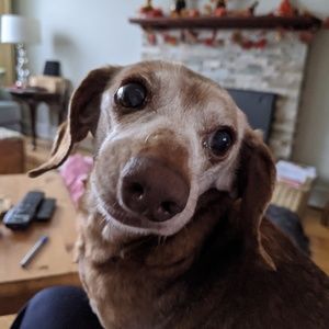 Meet your Posher, Andrea